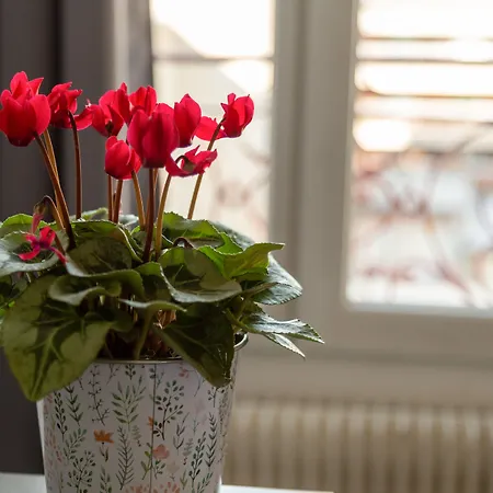 Hotel Lecourbe, Tour Eiffel 3*