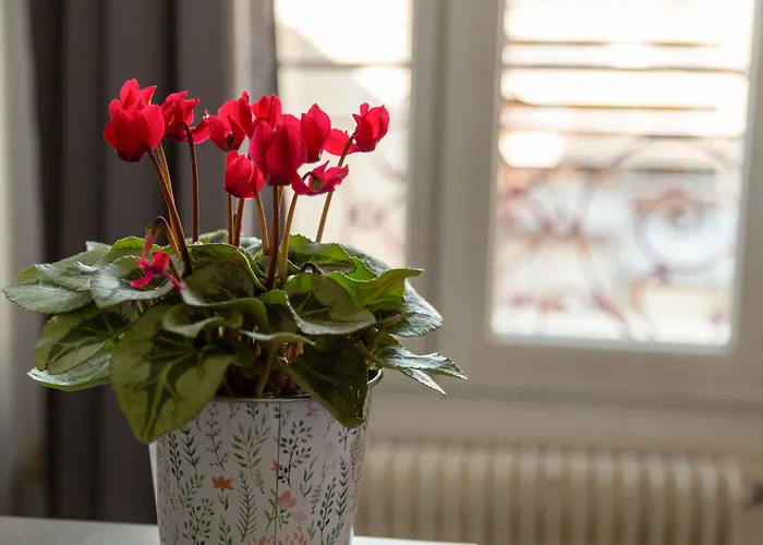 Отель Lecourbe, Tour Eiffel 3*